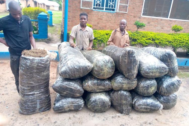 The suspects pose with the bags of Indian hemp 
